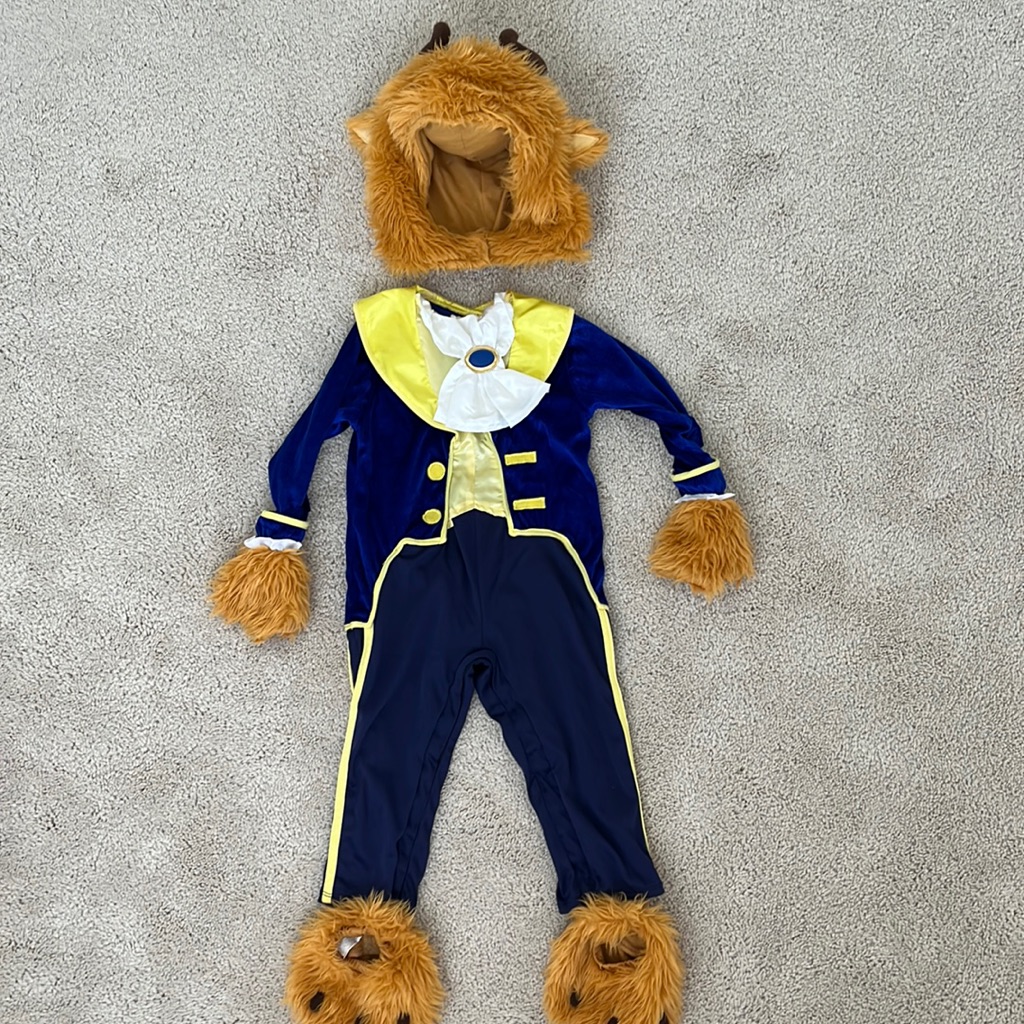 Beast Beauty And The Beast Halloween Costume Beast Beauty And The Beast Halloween Costume